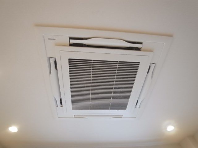 Ｍａｒｑｕｉｓ（マーキス） その他5