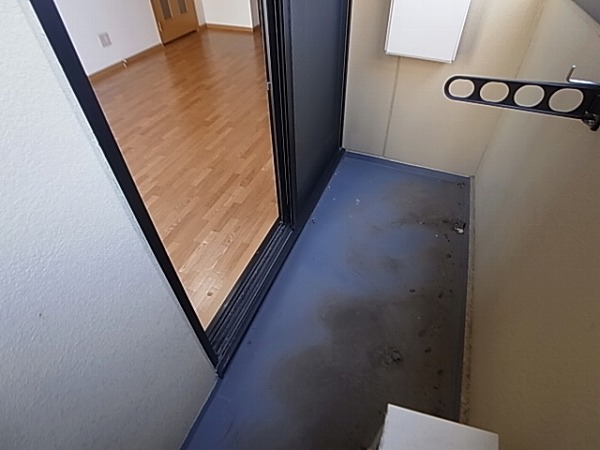 セルカーサ その他9