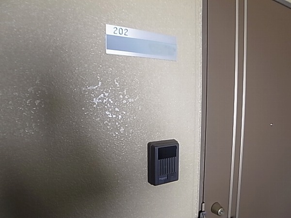 セルカーサ その他22