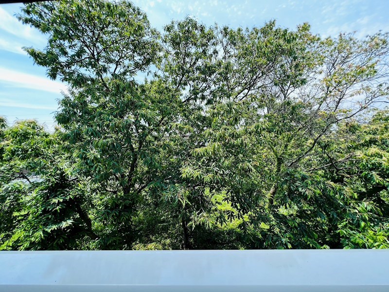 ロジュマン壱番館 その他5