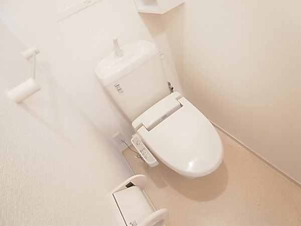 ＮＴセイバリー その他1