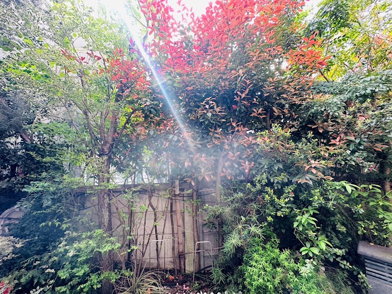 Le ciel Cloud　～ルシエルクラウド～ その他6