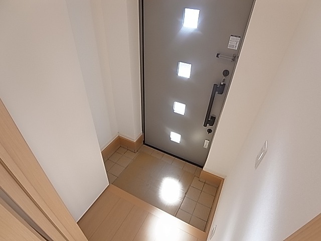 ララ・フォレスト その他14