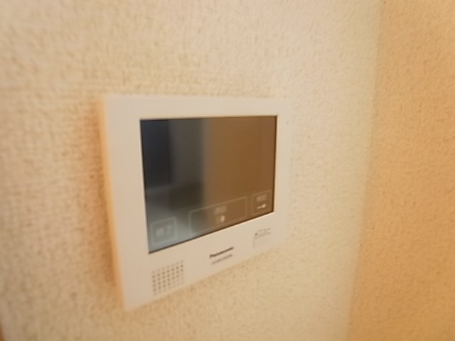 ブルーバード  その他3