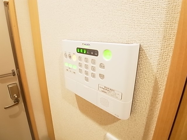 ブルーバード  その他5