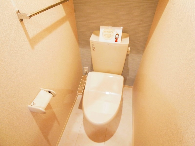 アステールピュールＫ その他1