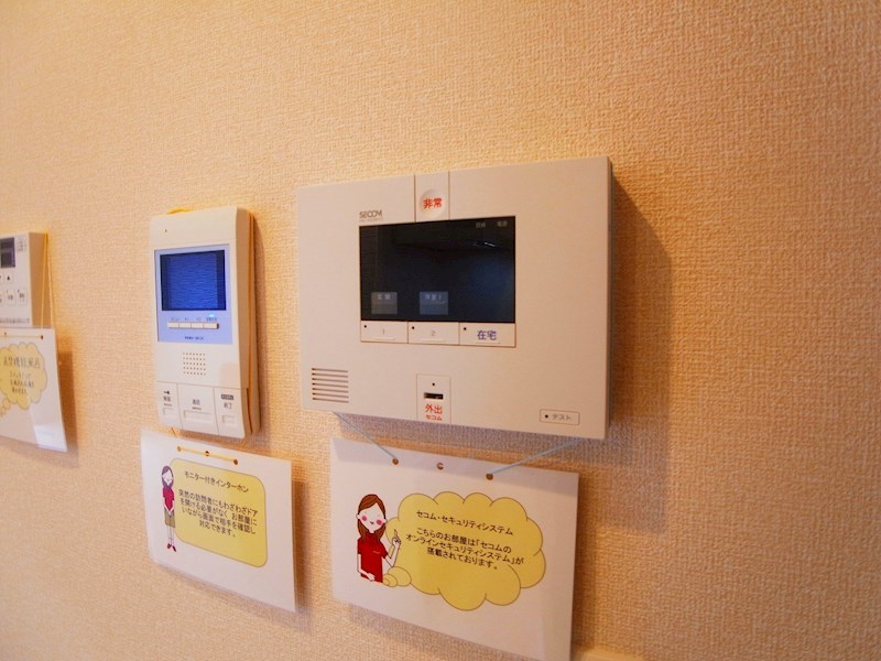 アステールピュールＫ その他4