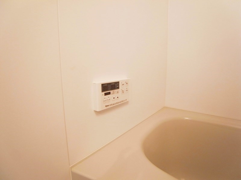 アステールピュールＫ その他14