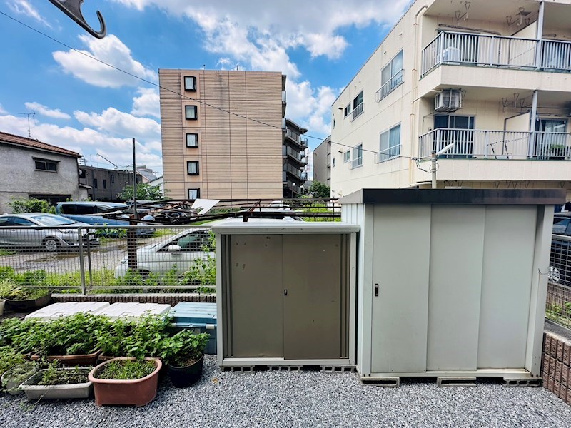 Ｗｉｓｔｅｒｉａ扇 その他5