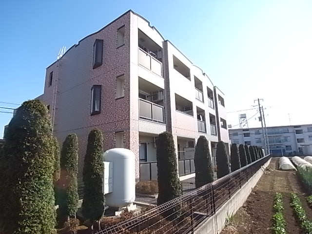 マイルド その他外観6