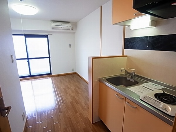 マイルド その他12