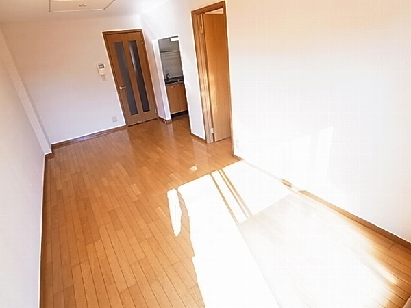 ル・モンテストS  その他9