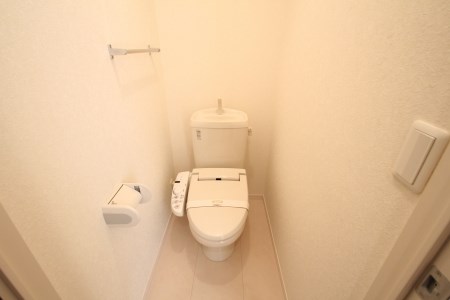 ステラ７ その他1