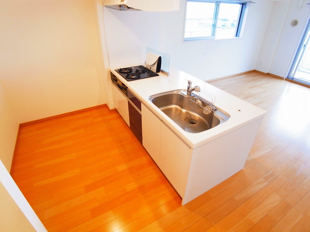 ロイヤルパークスリバーサイド  その他15