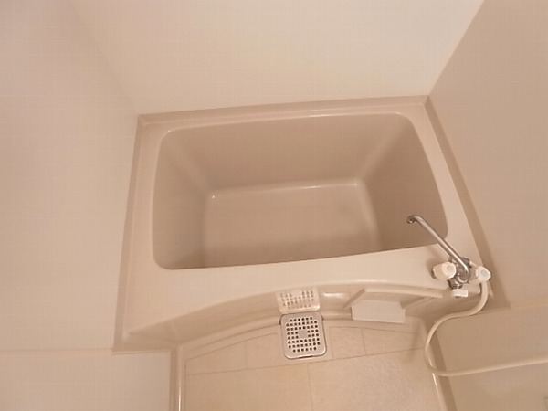 セジュール・ハッセブ その他15