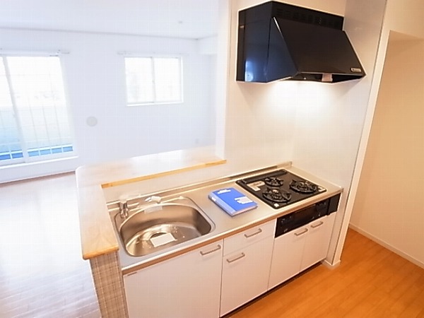 Villa　Excel　Ⅱ　～ヴィラエクセルⅡ～ キッチン