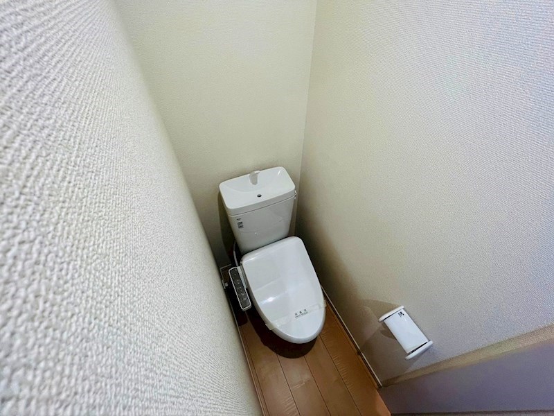 アルビネスコート その他1