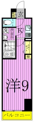 アルテカーサアリビエ東京イースト  間取り図