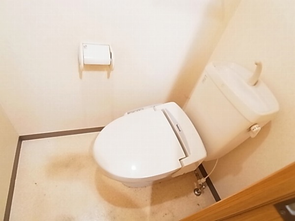 ラティニア その他1