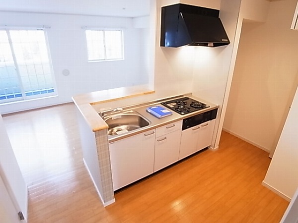 Villa　Excel　Ⅱ　～ヴィラエクセルⅡ～ その他12