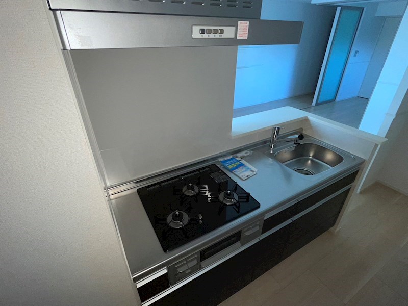 エレガントカーサⅢ キッチン