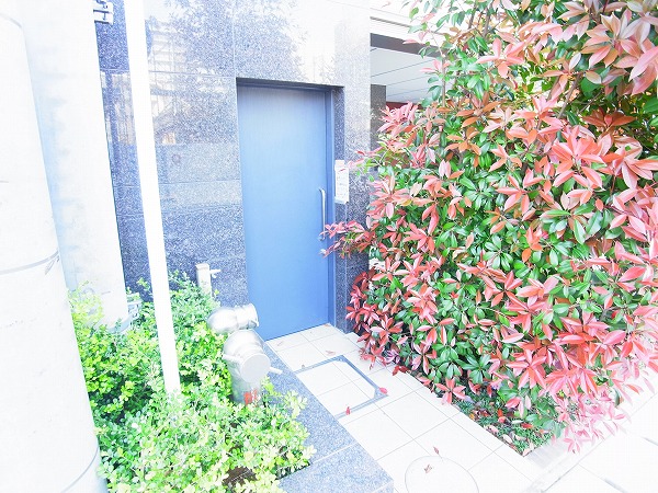 sea sound～シーサウンド～ その他外観5