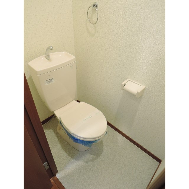 アムール　グリーン その他1