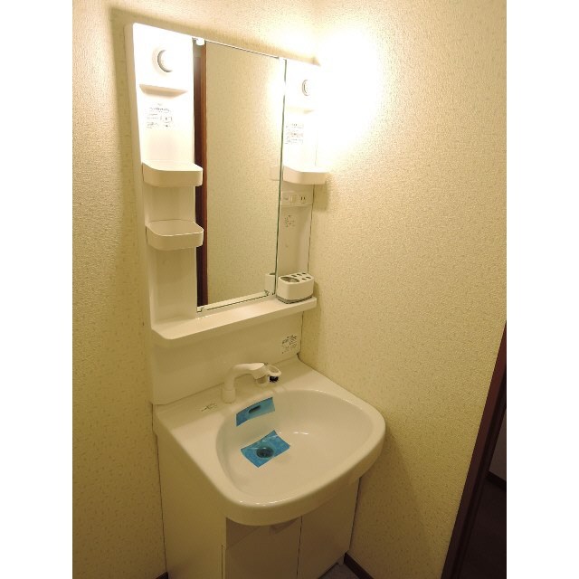 アムール　グリーン その他2