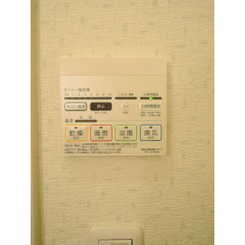 アムール　グリーン その他8