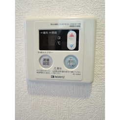 アムール　グリーン その他9