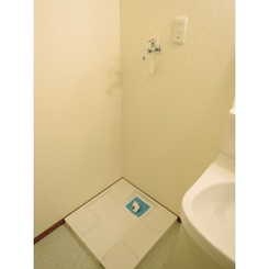 アムール　グリーン その他10