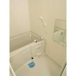 アムール　グリーン 風呂画像