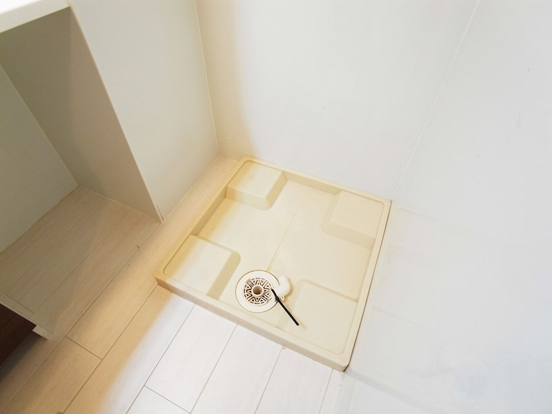 ルピナス７ その他15