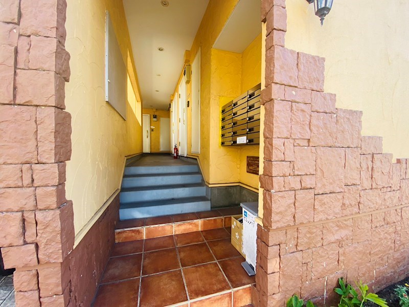 セレッソＵ  その他外観1