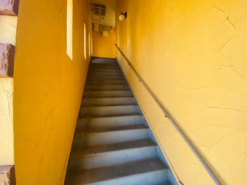 セレッソＵ  その他外観4