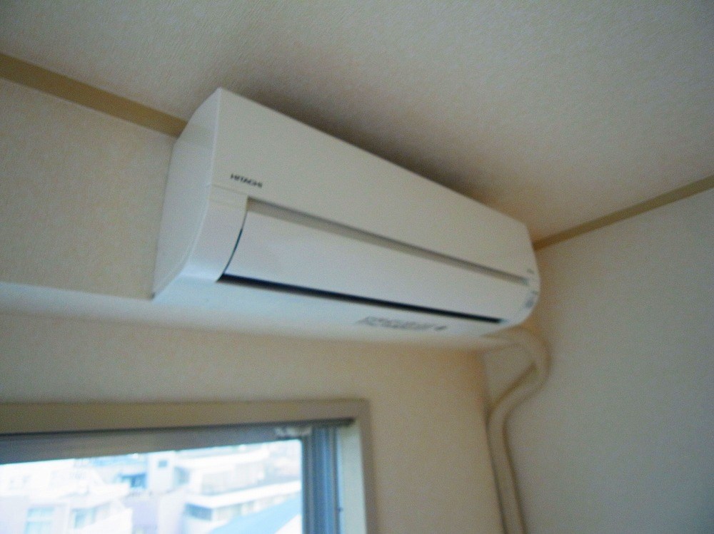 コートアオイ  その他5