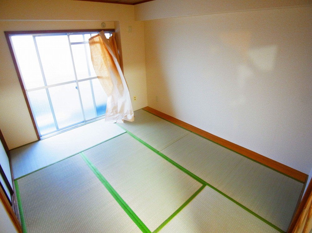 コートアオイ  その他6