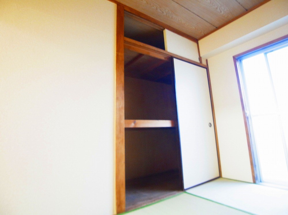 コートアオイ  その他8