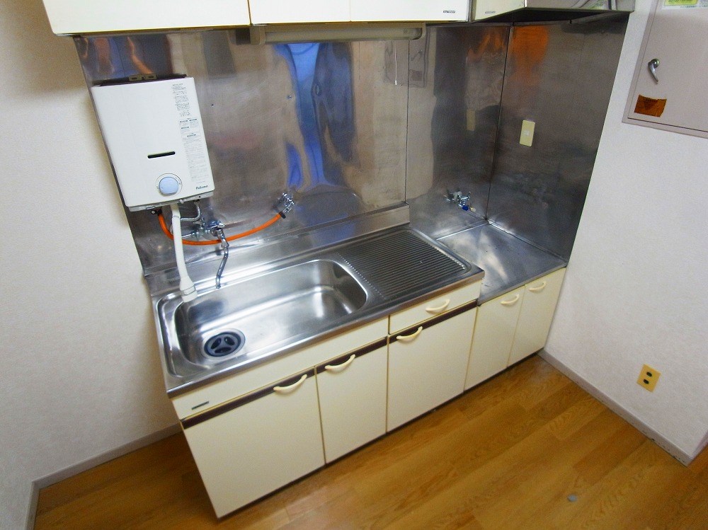 コートアオイ  その他10