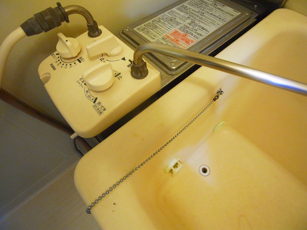 コートアオイ  その他13