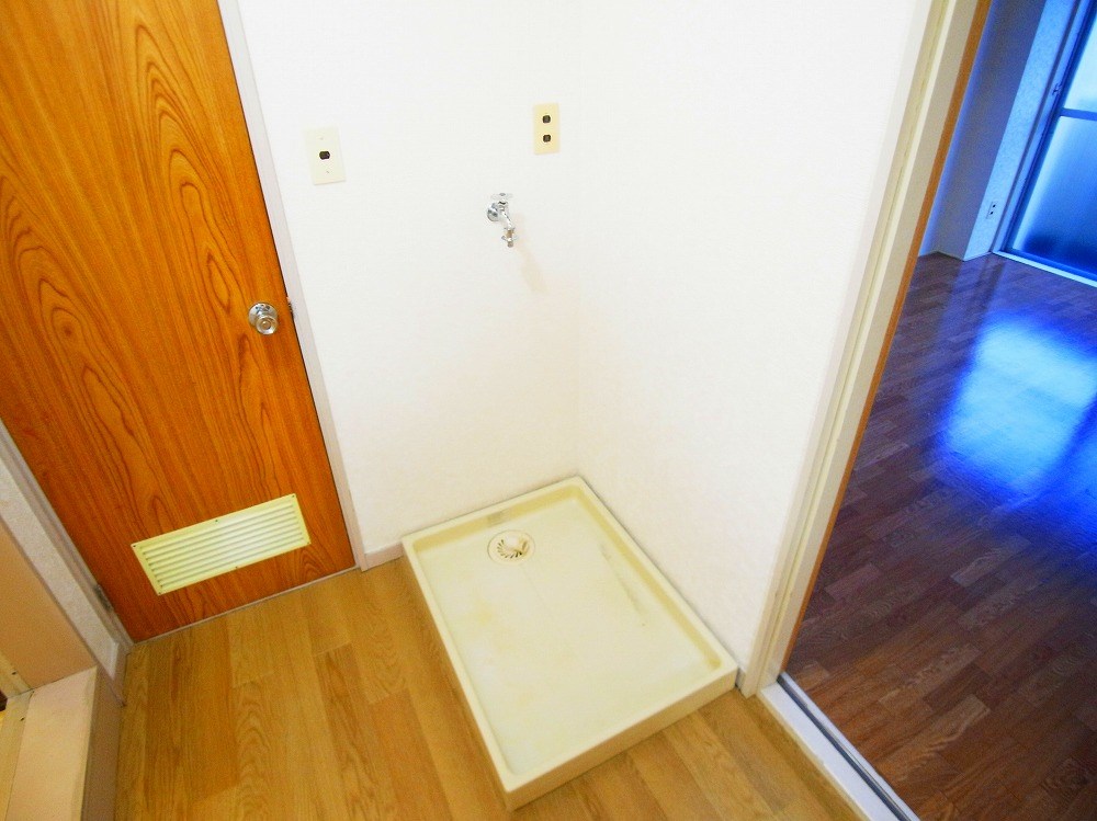 コートアオイ  その他14