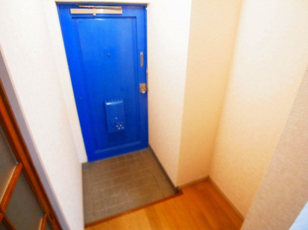 コートアオイ  その他16