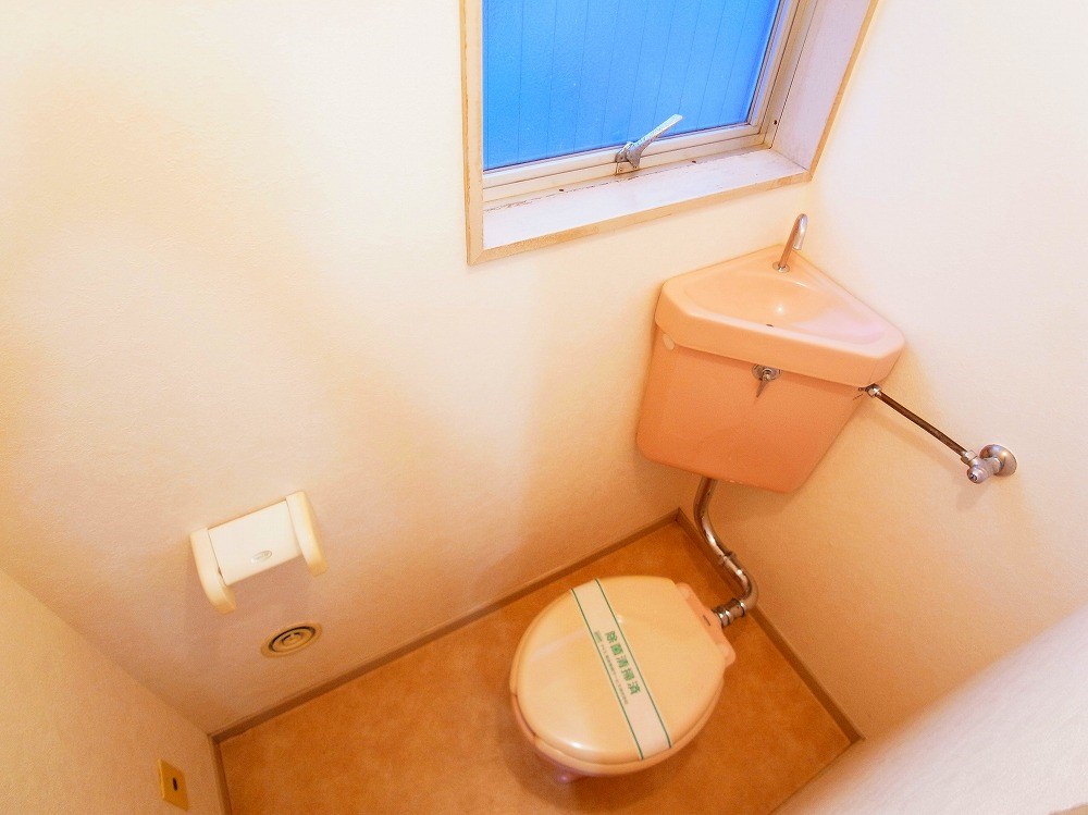 コートアオイ  その他1