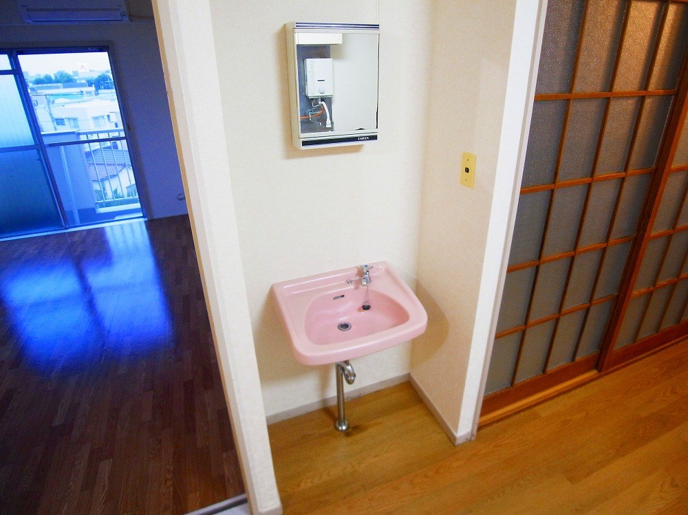 コートアオイ  その他2