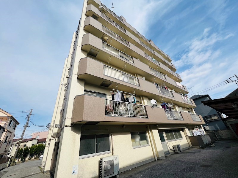 コートアオイ  その他外観1