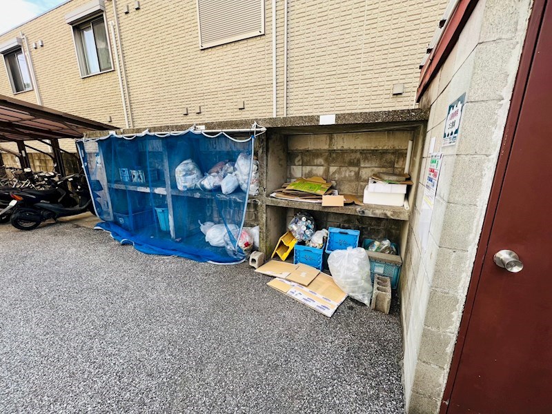 コートアオイ  その他外観6