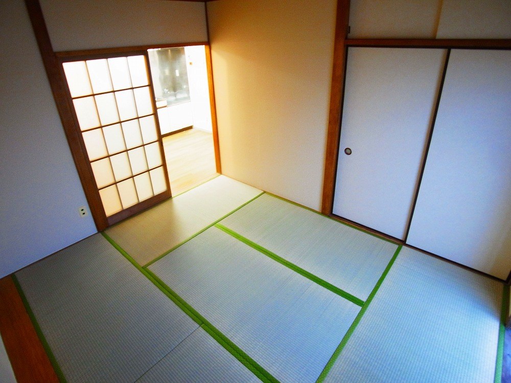 コートアオイ  その他7