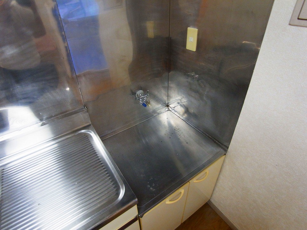 コートアオイ  その他11