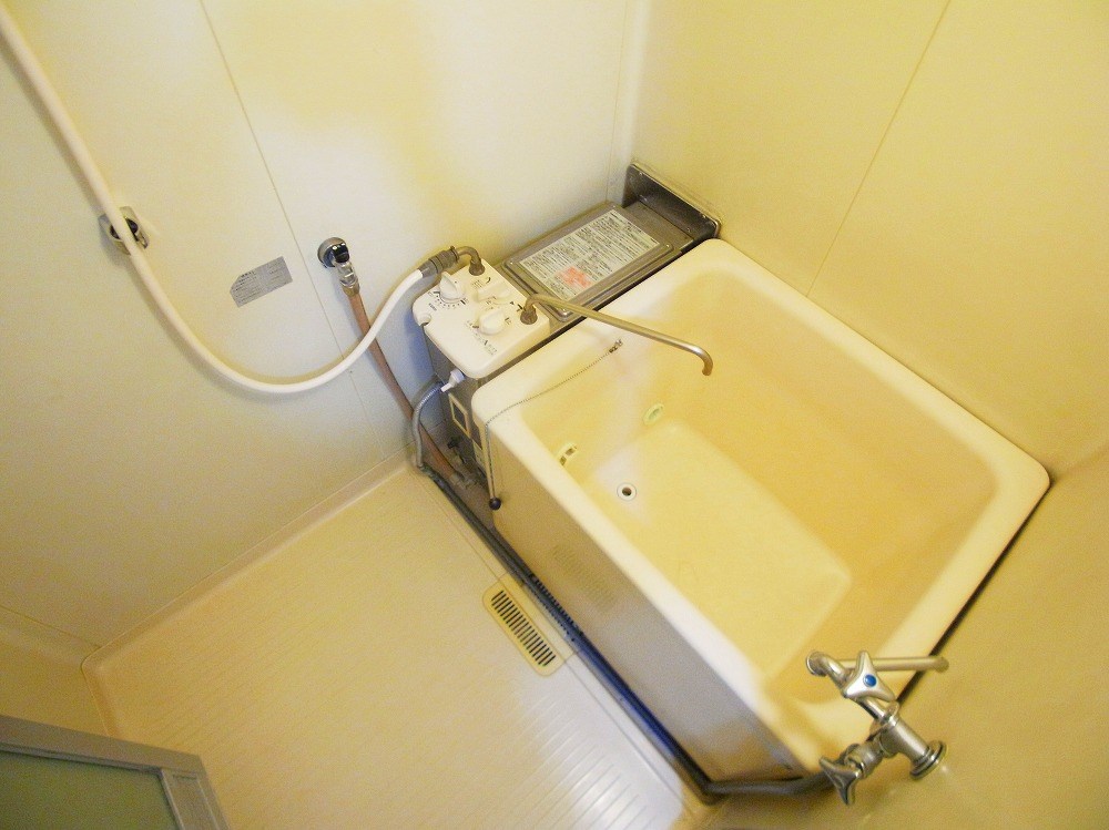 コートアオイ  その他12