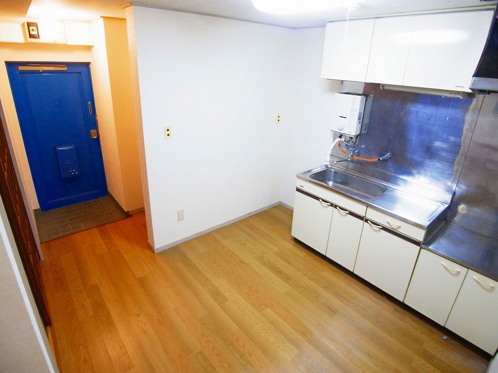 コートアオイ  その他15